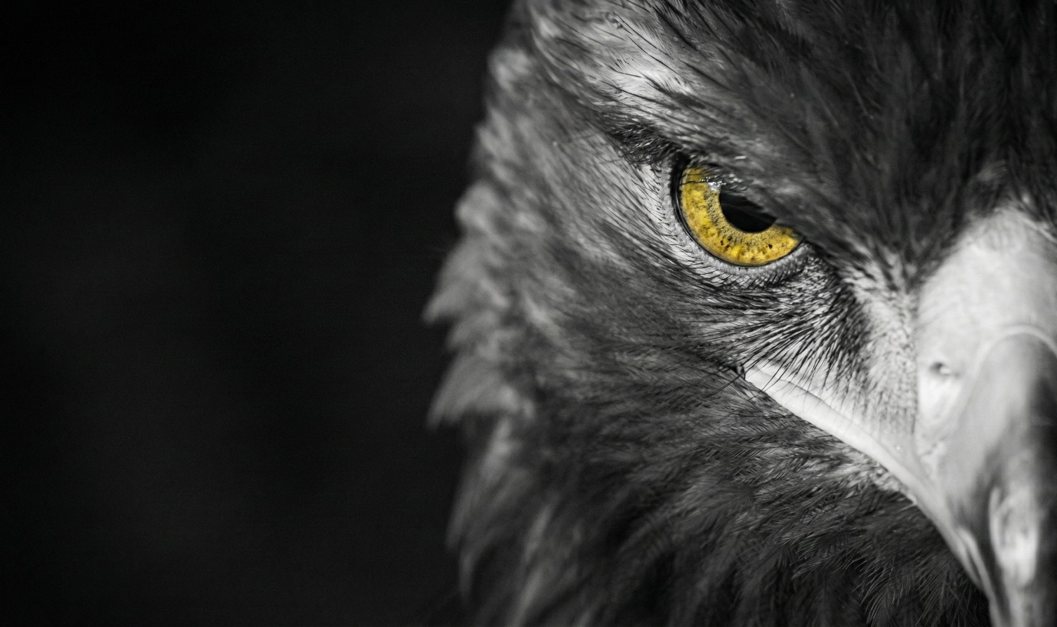 Emir Reklam Hakkımızda